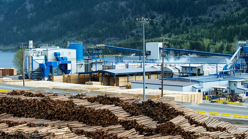 Sawmill and firewood processing site illustrating European firewood demand from Portugal