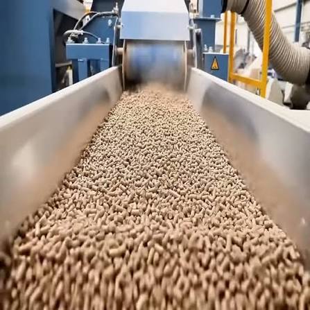 Close-up of uniform 6mm wood pellets supplied wholesale from Portugal